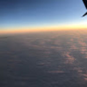 Meet your Posher, Matilda